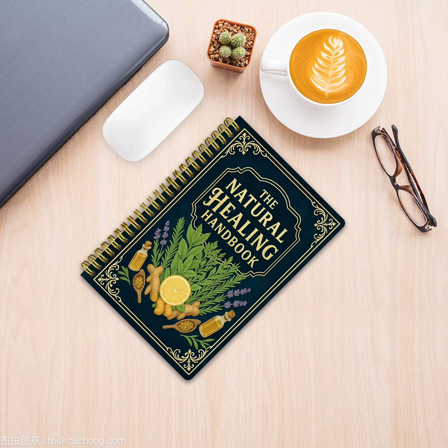 The Natural Healing Handbook