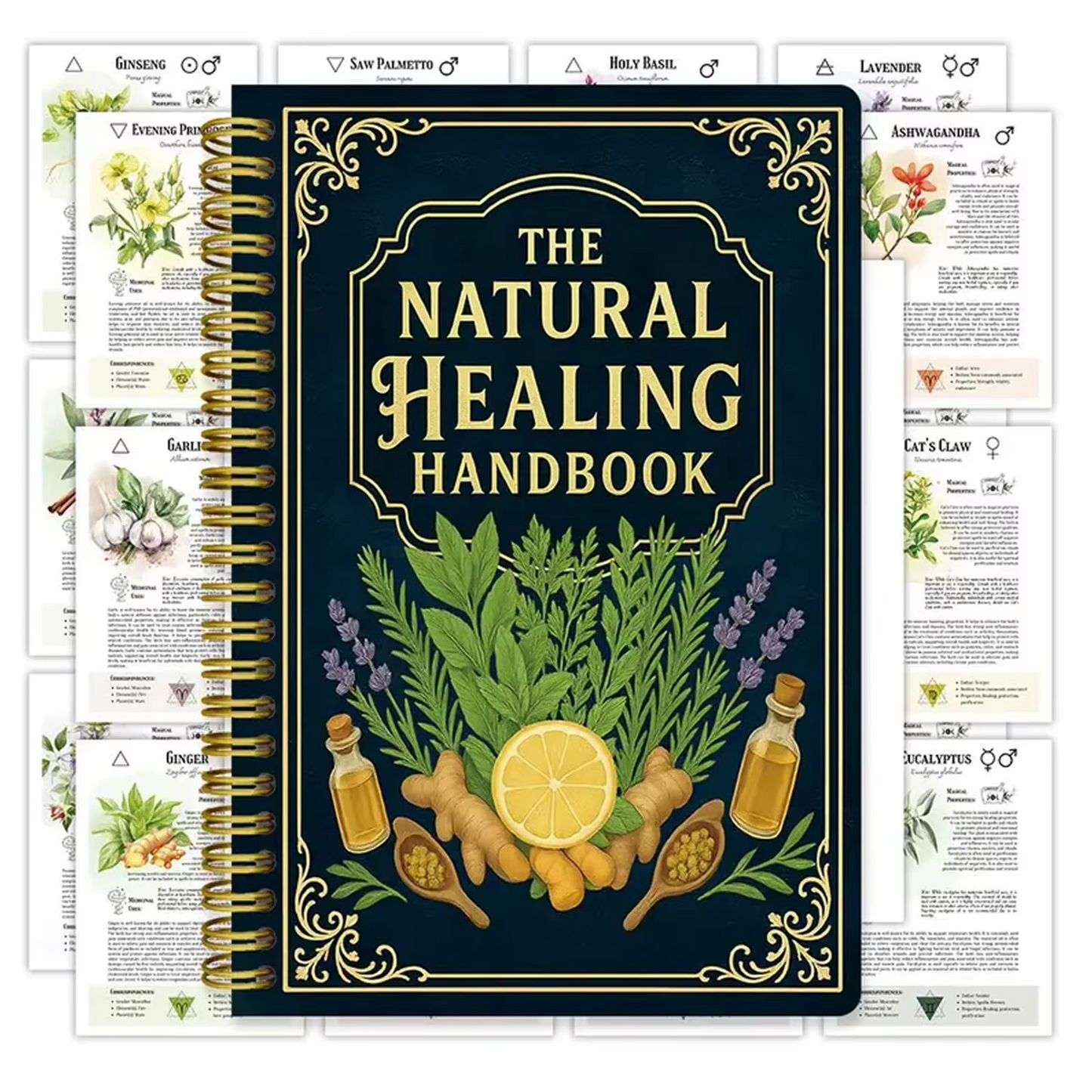 The Natural Healing Handbook
